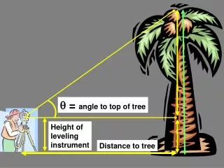 ? = angle to top of tree