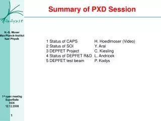 Summary of PXD Session