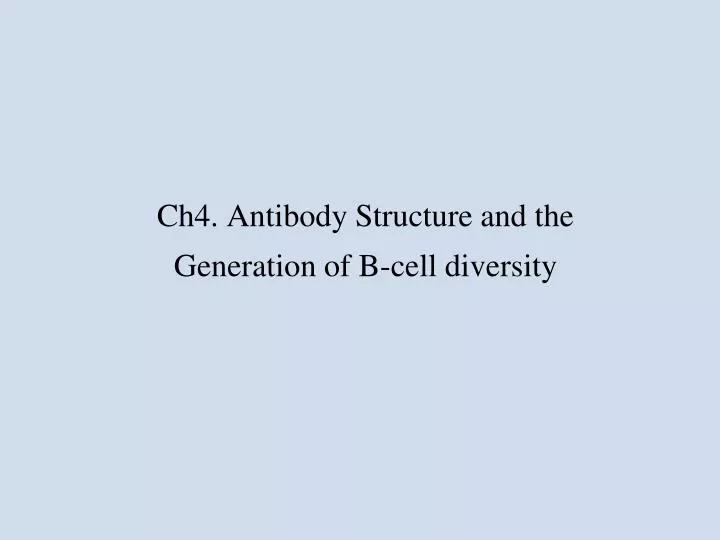 ch4 antibody structure and the generation of b cell diversity