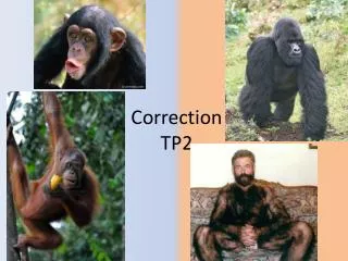 correction tp2
