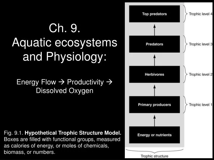 ch 9 aquatic ecosystems and physiology energy flow productivity dissolved oxygen