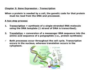 Chapter 5: Gene Expression - Transcription