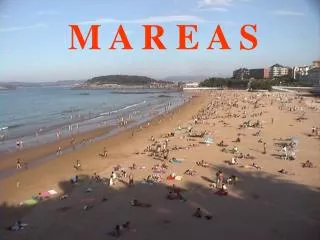 m a r e a s