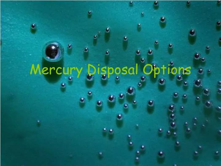 mercury disposal options