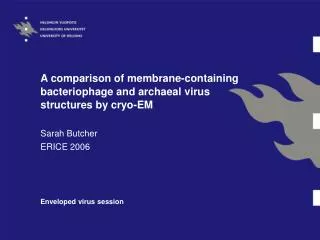 A comparison of membrane-containing bacteriophage and archaeal virus structures by cryo-EM