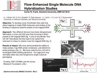 Flow-Enhanced Single Molecule DNA Hybridization Studies