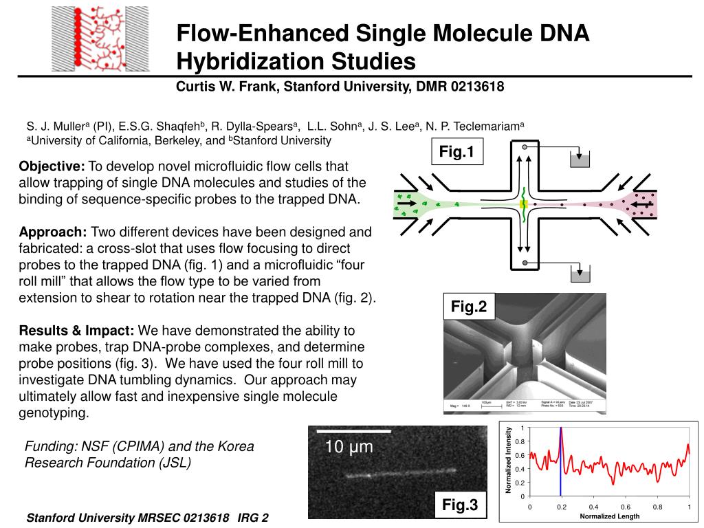PPT - Flow-Enhanced Single Molecule DNA Hybridization Studies ...