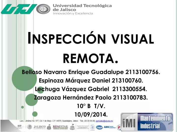 inspecci n visual remota