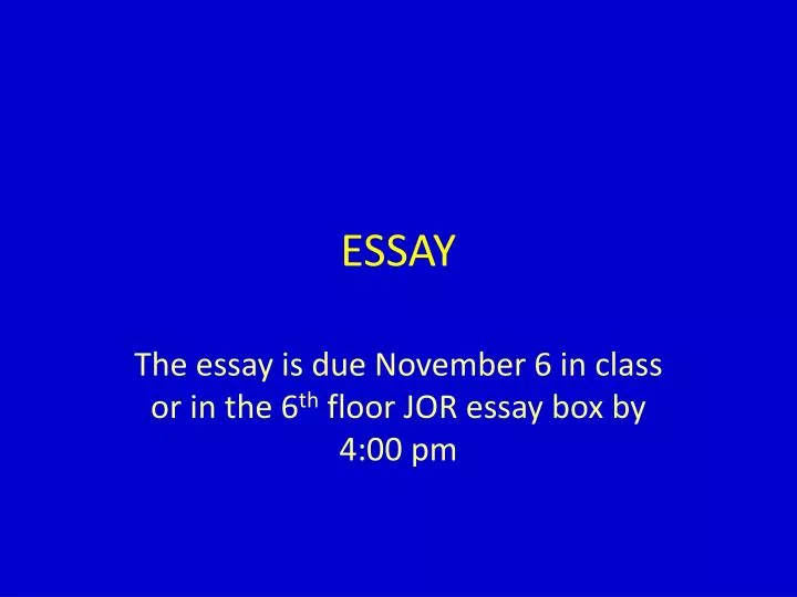 essay