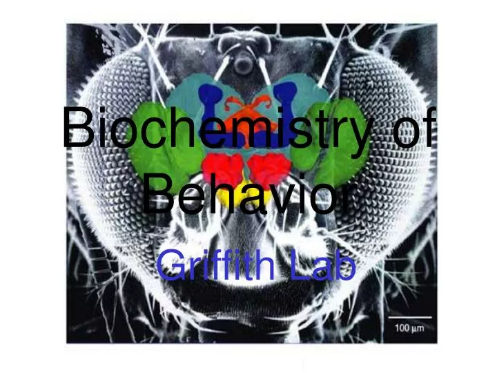 biochemistry of behavior griffith lab