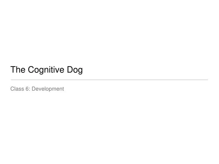 the cognitive dog