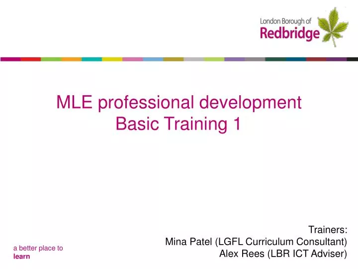 mle professional development basic training 1