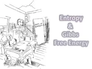 Entropy &amp; Gibbs Free Energy
