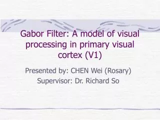 Gabor Filter: A model of visual processing in primary visual cortex (V1)