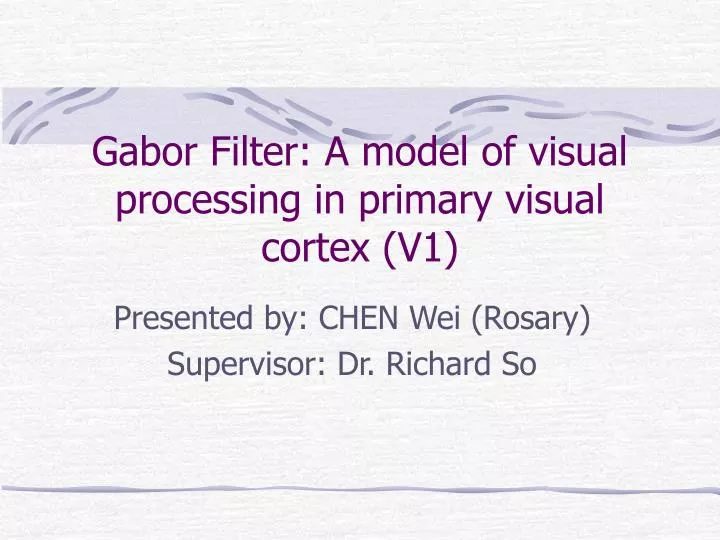gabor filter a model of visual processing in primary visual cortex v1