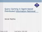 Caching Mechanisms for Efficient Query Resolution in Distributed Information Retrieval Systems - slide 1