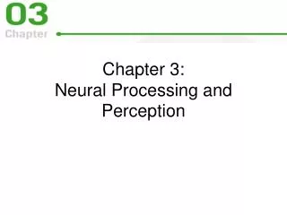 Chapter 3: Neural Processing and Perception