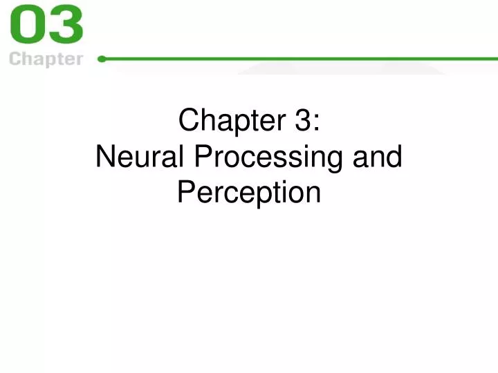 chapter 3 neural processing and perception