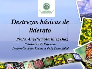destrezas b sicas de liderato