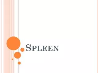 Spleen