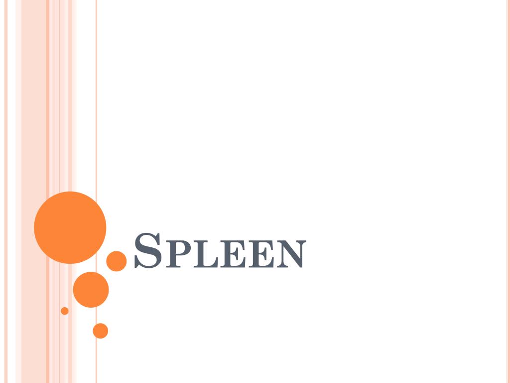 PPT - Spleen PowerPoint Presentation, free download - ID:5745023