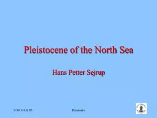 Pleistocene of the North Sea