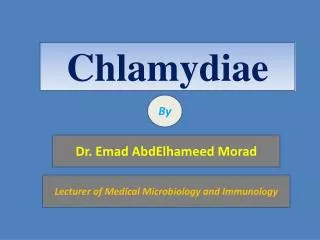 Chlamydiae