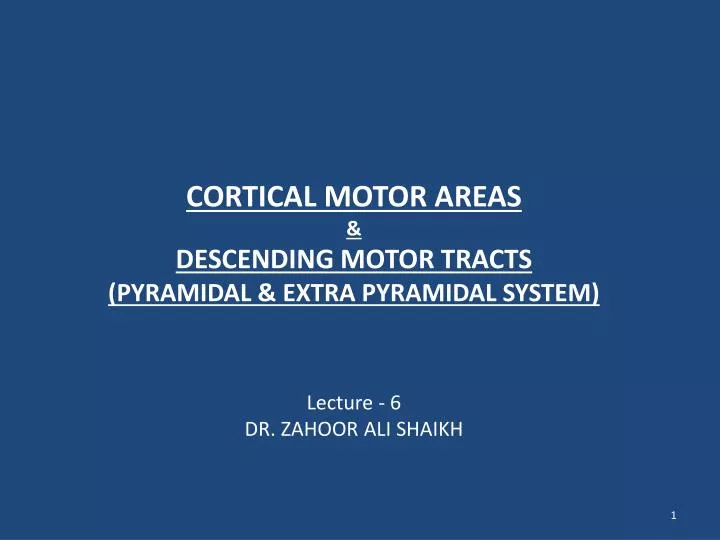 cortical motor areas descending motor tracts pyramidal extra pyramidal system