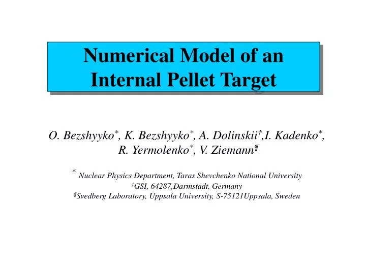 numerical model of an internal pellet target