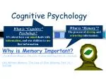 Cognitive Psychology