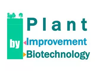 P l a n t Improvement Biotechnology