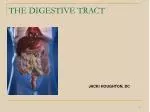 THE DIGESTIVE TRACT - slide 1