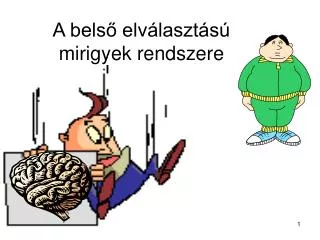 a bels elv laszt s mirigyek rendszere