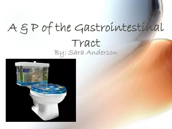 a p of the gastrointestinal tract