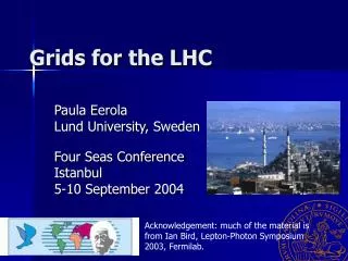 Grids for the LHC