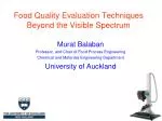 Food Quality Evaluation Techniques Beyond the Visible Spectrum - slide 1