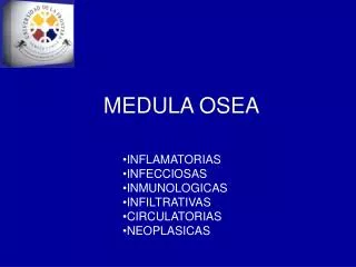 medula osea