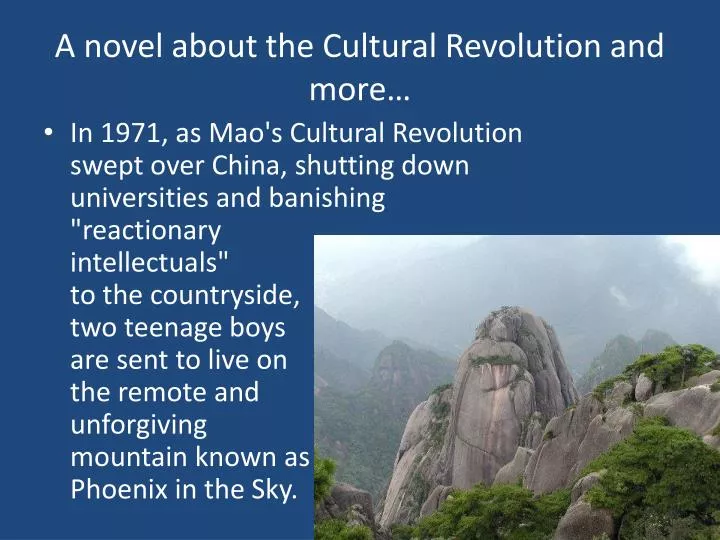 a novel about the cultural revolution and more