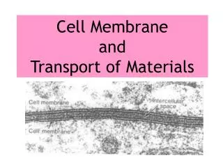Cell Membrane and Transport of Materials