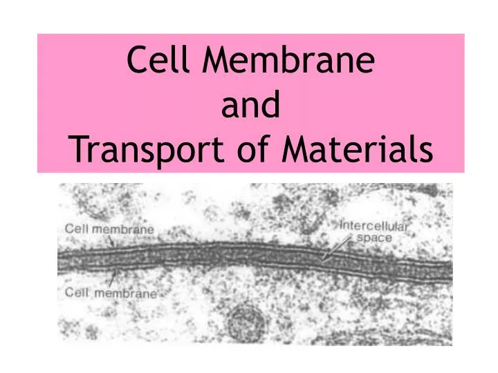 cell membrane and transport of materials