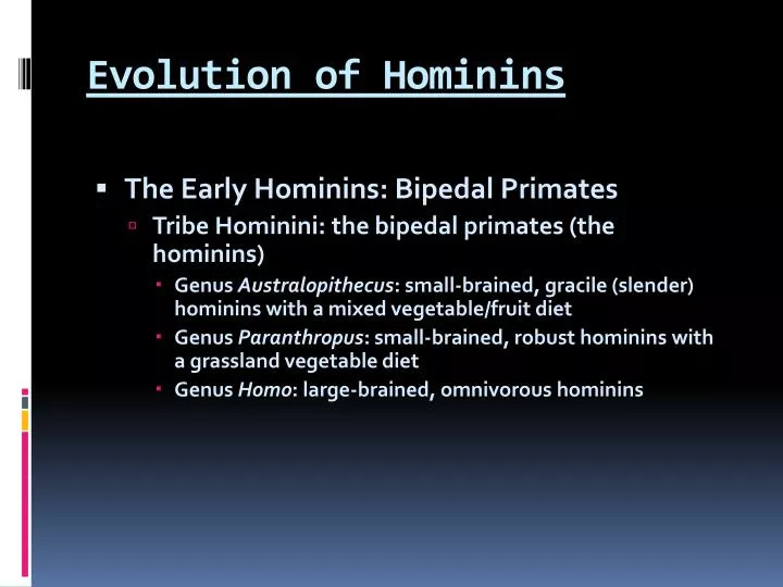 evolution of hominins