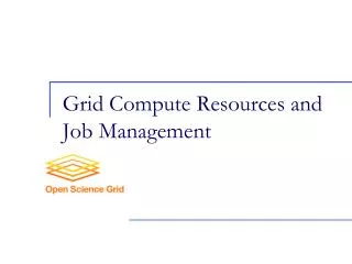 Grid Compute Resources and Job Management