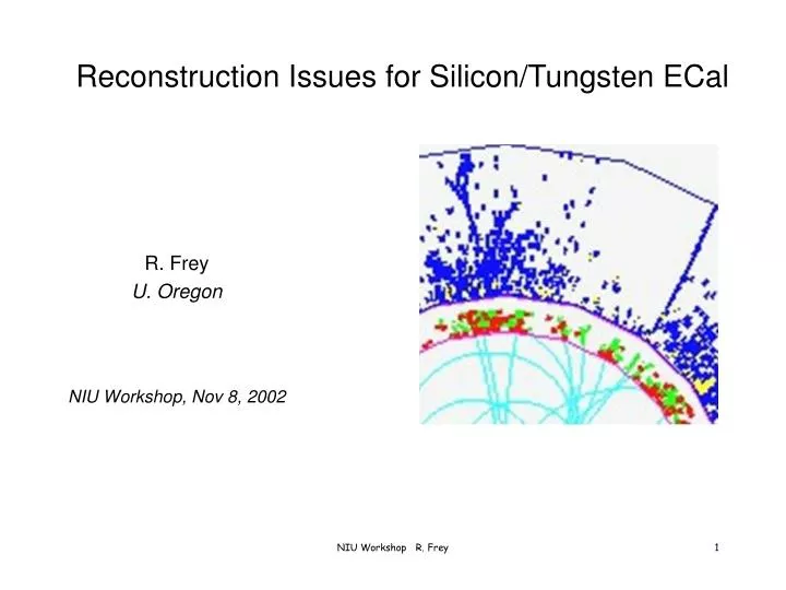 reconstruction issues for silicon tungsten ecal