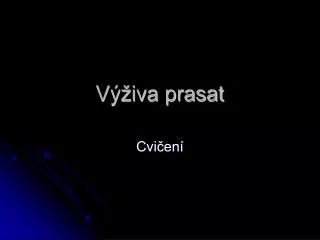 v iva prasat