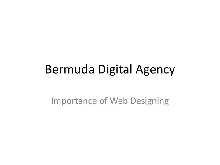 bermuda digital agency
