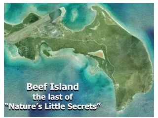 Beef Island the last of “Nature’s Little Secrets”