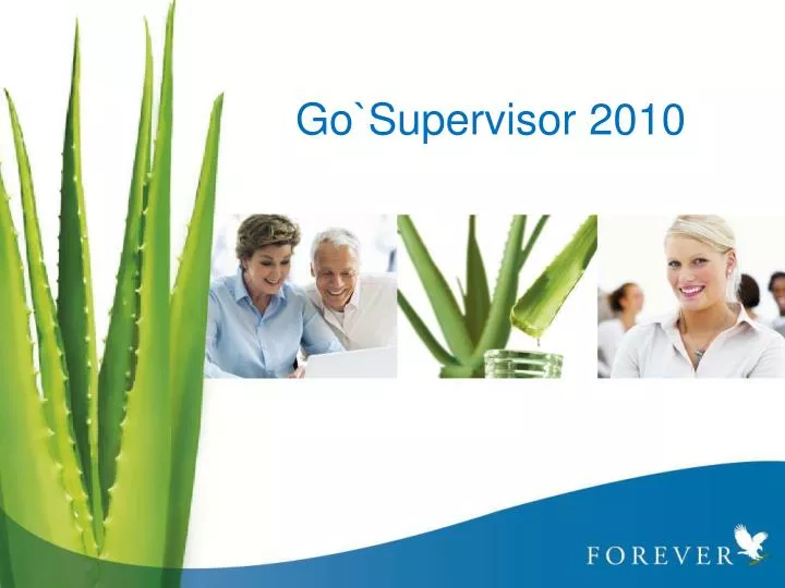 go supervisor 2010
