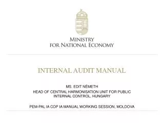 INTERNAL AUDIT MANUAL