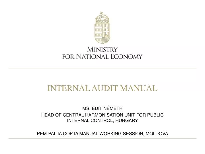 internal audit manual