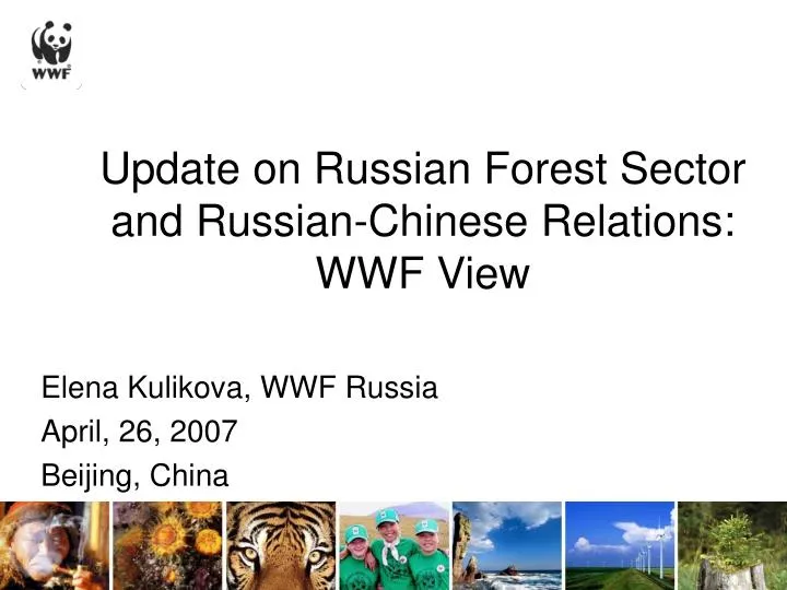update on russian forest sector and russian chinese relations wwf view